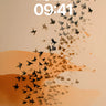 Silhouetted Flight Wallpaper with Amber Currents wallpaper for iPhone, iPad & Mac