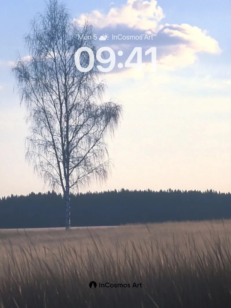 Serenity Birch Wallpaper with Golden Field Hush