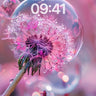 Whispering Bubble Wallpaper with Dandelion Dreams wallpaper for iPhone, iPad & Mac