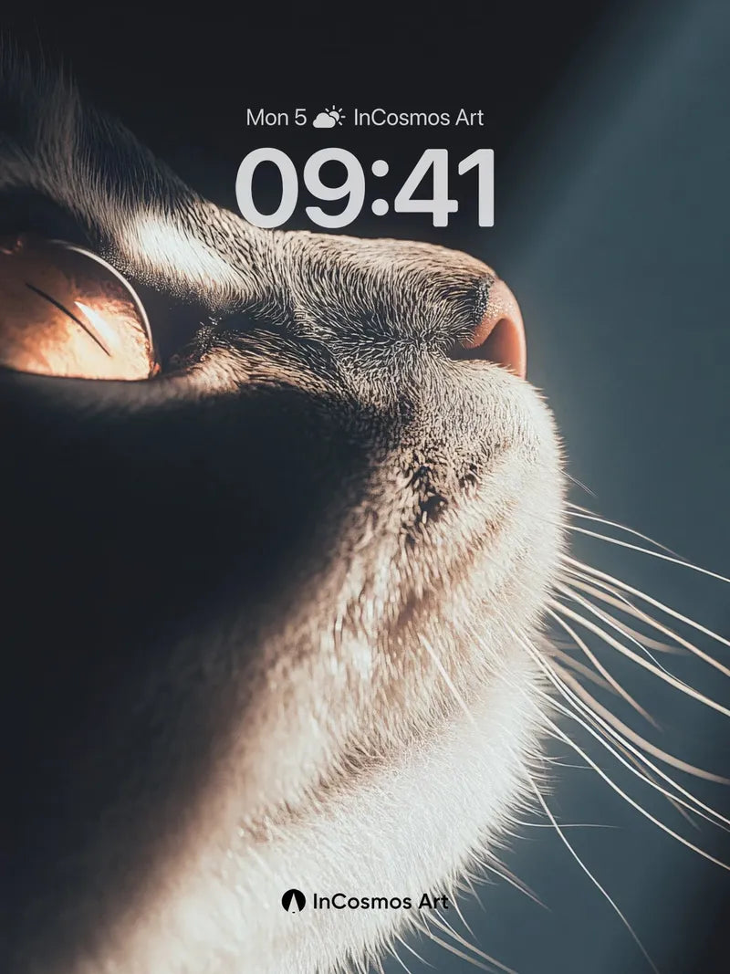 Silken Gaze Wallpaper with Sunlit Whiskers