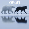 Serenity Walk Wallpaper with Reflective Ice wallpaper for iPhone, iPad & Mac