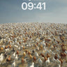 Serenity Herd Wallpaper with Infinite Horses wallpaper for iPhone, iPad & Mac