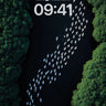 Serenity Flight Wallpaper with Forest Veins wallpaper for iPhone, iPad & Mac