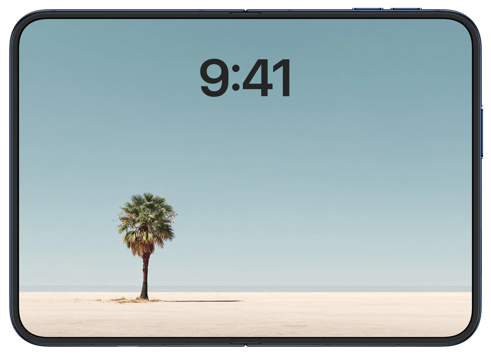 iPhone Duo inner open landscape screen with a desert palm wallpaper