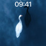 Serenity Duet Wallpaper with Midnight Contrast wallpaper for iPhone, iPad & Mac