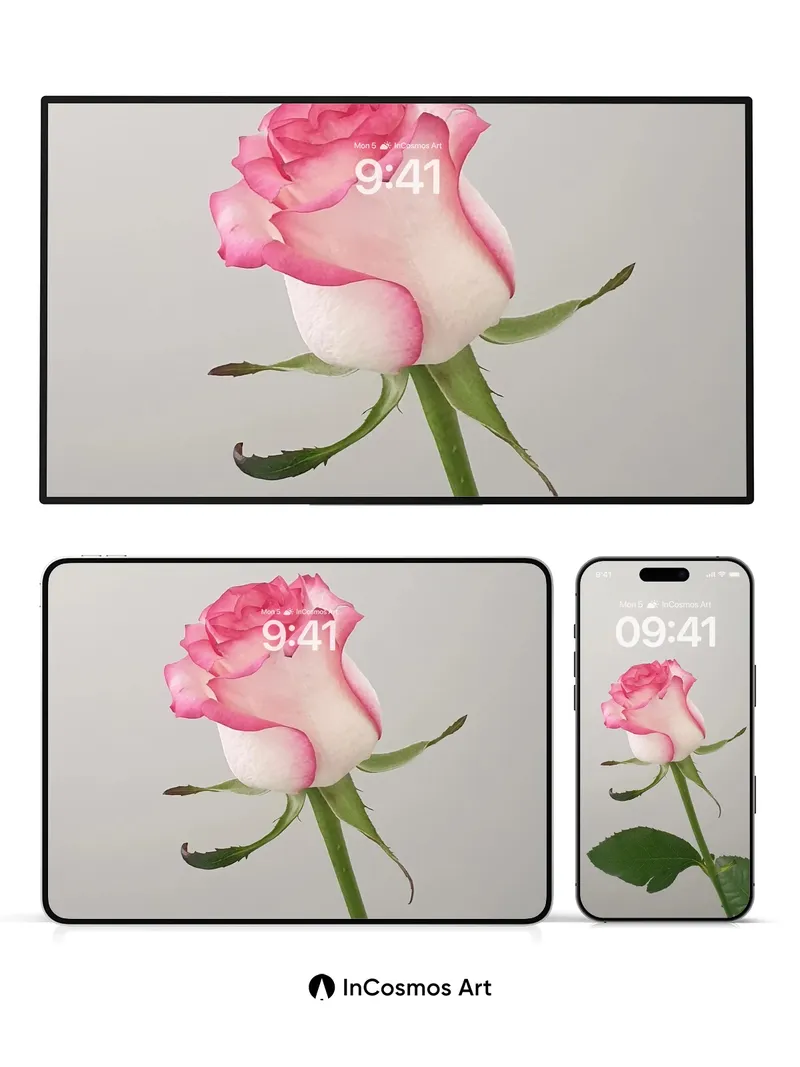 Serene Petal Wallpaper with Soft Gradient Edges