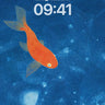 Serene Goldfish Wallpaper with Celestial Currents wallpaper for iPhone, iPad & Mac