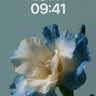 Serene Dewdrop Wallpaper with Iridescent Petals wallpaper for iPhone, iPad & Mac