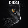 Shadowed Gaze Wallpaper with Golden Eyes wallpaper for iPhone, iPad & Mac