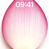 Serene Petal Wallpaper with Radiant Veins wallpaper for iPhone, iPad & Mac