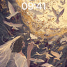 Whispering Dove Wallpaper with Golden Veil wallpaper for iPhone, iPad & Mac