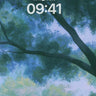 Canopy Skyline Forest Canopy Wallpaper