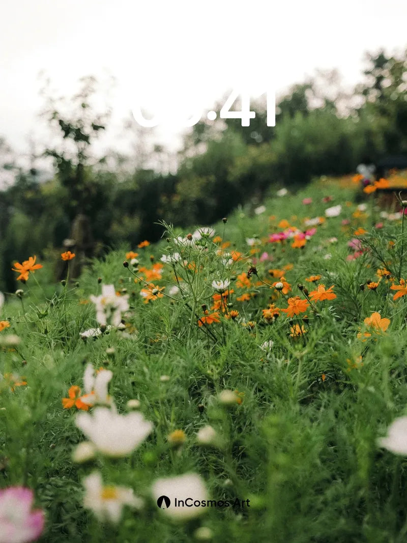 Serenity Bloom Wallpaper with Wildflower Hush