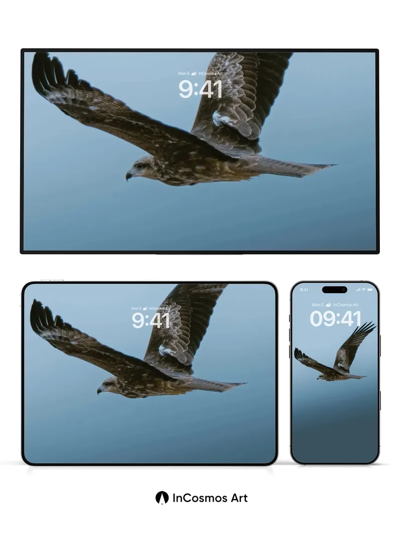 Sovereign Sky Glide Wallpaper with Feathered Grace