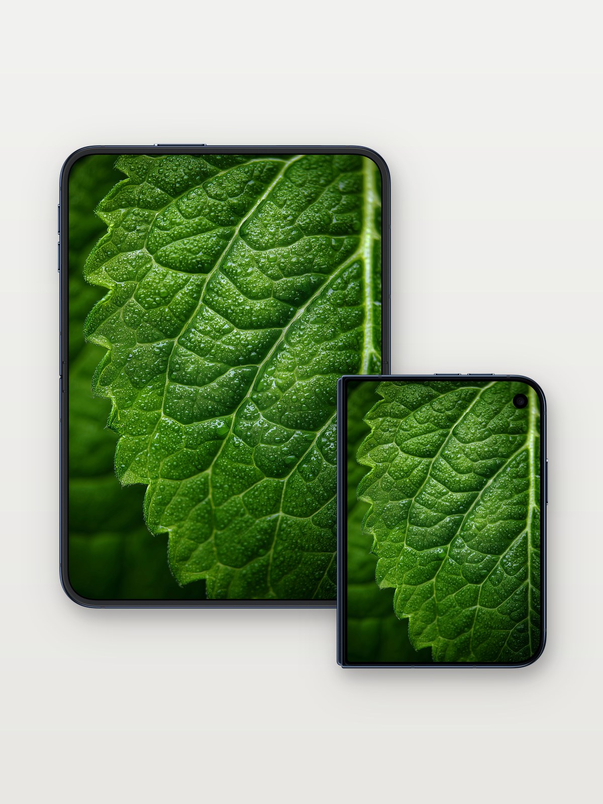 Emerald Pulse Wallpaper with Dew-Kissed Veins on iPhone Duo, open and closed