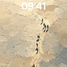 Desert Echoes Wallpaper with Footprint Path wallpaper for iPhone, iPad & Mac