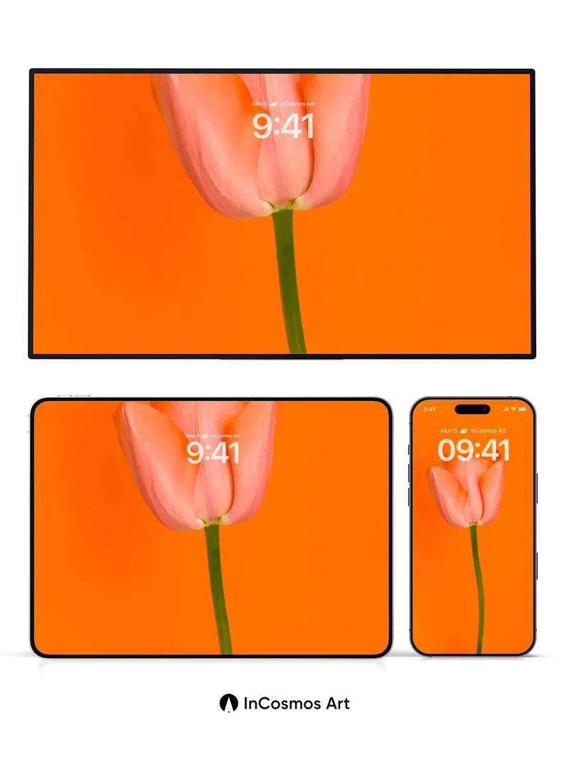 Serene Tulip Wallpaper with Orange Hush