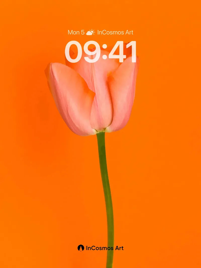 Serene Tulip Wallpaper with Orange Hush