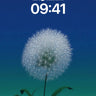 Stellar Dandelion Wallpaper with Midnight Gradient wallpaper for iPhone, iPad & Mac