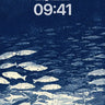Silent School Wallpaper with Deep Sea Hush wallpaper for iPhone, iPad & Mac