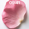 Soft Hush Petal Wallpaper with Veined Light wallpaper for iPhone, iPad & Mac
