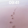 Serenity Trail Wallpaper with Dune Whispers wallpaper for iPhone, iPad & Mac