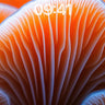 Glowing Fungi Wallpaper with Ethereal Veins wallpaper for iPhone, iPad & Mac