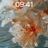 Luminous Petal Wallpaper with Water Reflections wallpaper for iPhone, iPad & Mac