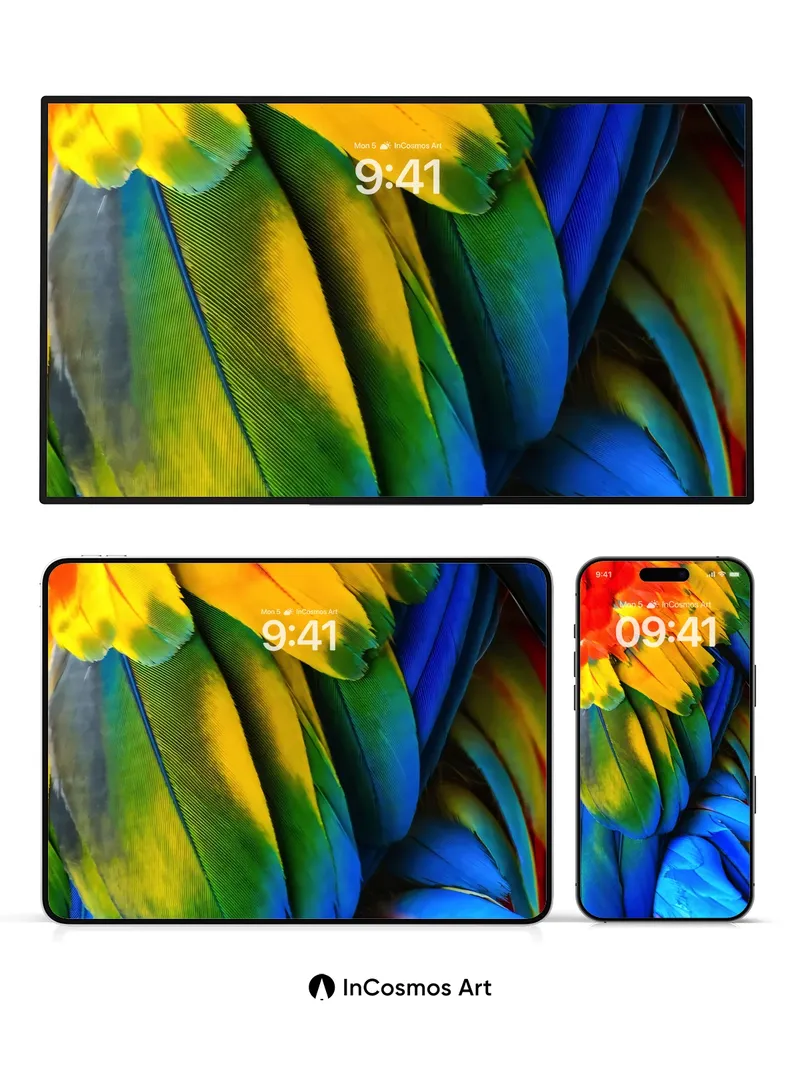 Rainbow Feather Wallpaper with Living Light