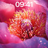 Luminous Petal Wallpaper with Dew-Kissed Depths wallpaper for iPhone, iPad & Mac