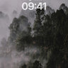Misty Forest Wallpaper with Whispering Pines wallpaper for iPhone, iPad & Mac