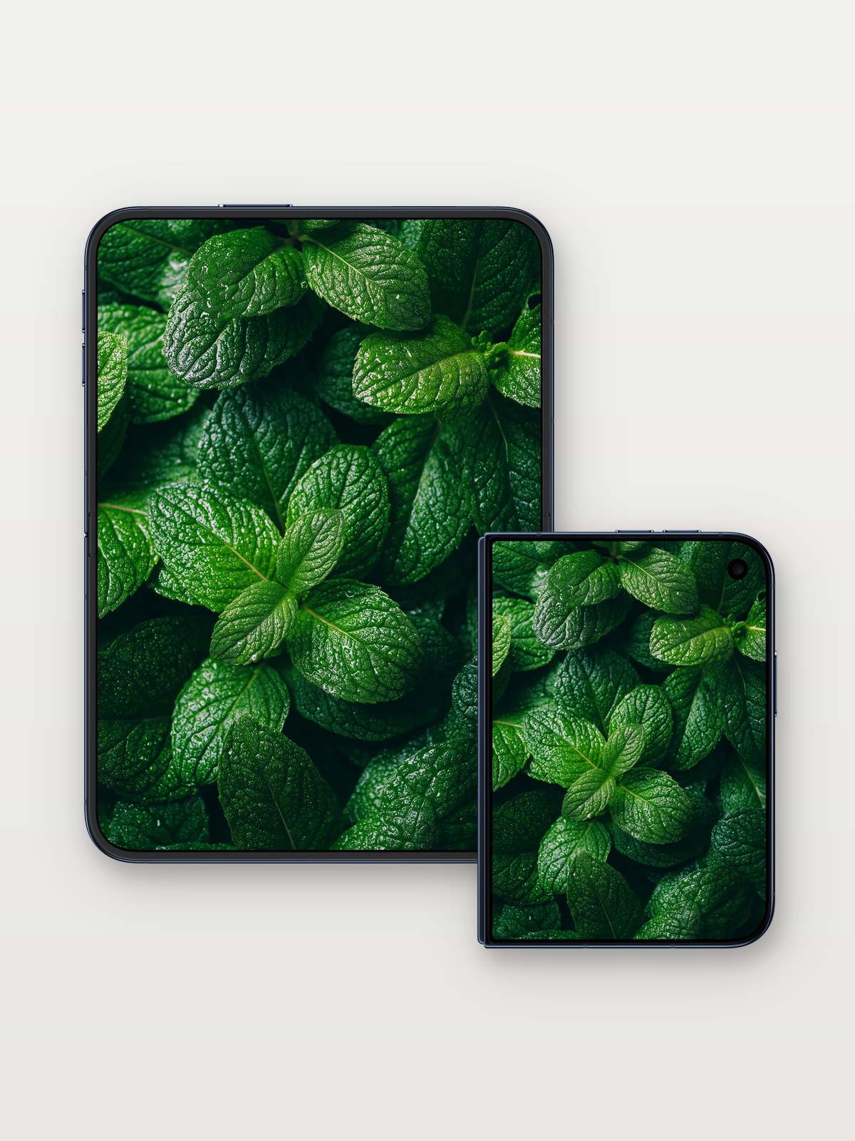 Whispering Mint Wallpaper with Dew-Kissed Veins on iPhone Duo, open and closed