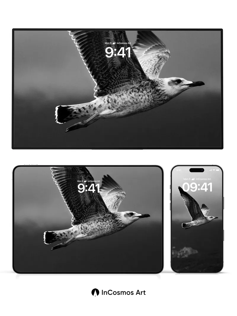 Silent Glide Wallpaper with Feathered Shadows