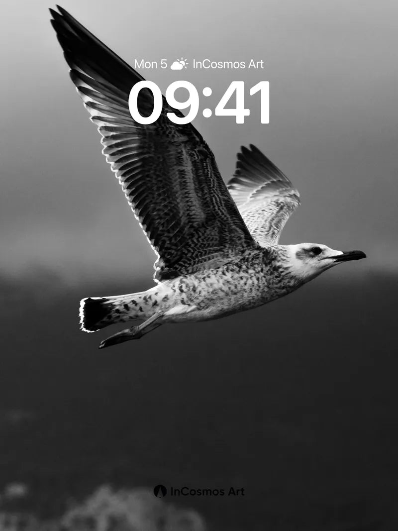 Silent Glide Wallpaper with Feathered Shadows