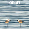 Serenity Shoreline Wallpaper with Wading Birds wallpaper for iPhone, iPad & Mac