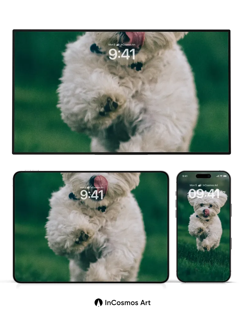 Playful Puffball Wallpaper with Fleeting Motion