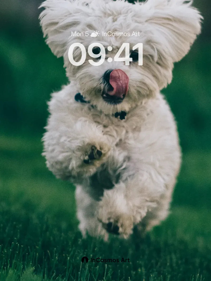 Playful Puffball Wallpaper with Fleeting Motion