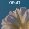 Serene Petal Wallpaper with Soft Light Veins wallpaper for iPhone, iPad & Mac