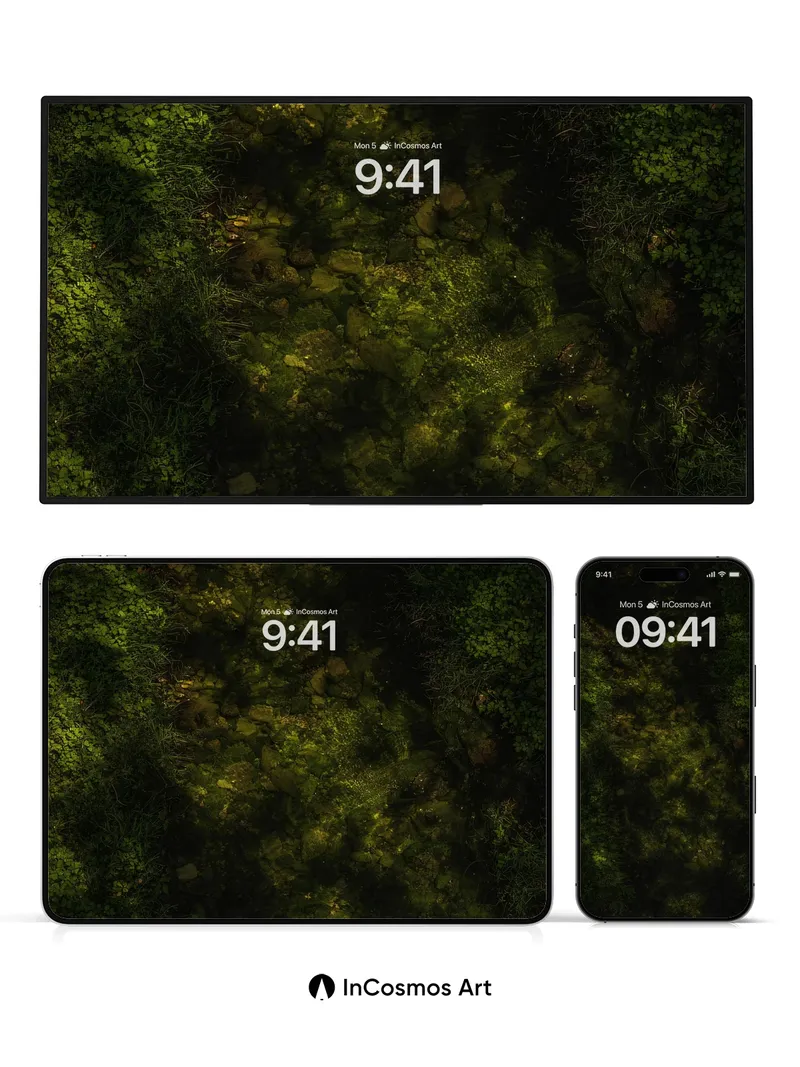 Shadowed Moss Path Wallpaper with Dappled Light