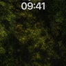 Shadowed Moss Path Wallpaper with Dappled Light wallpaper for iPhone, iPad & Mac