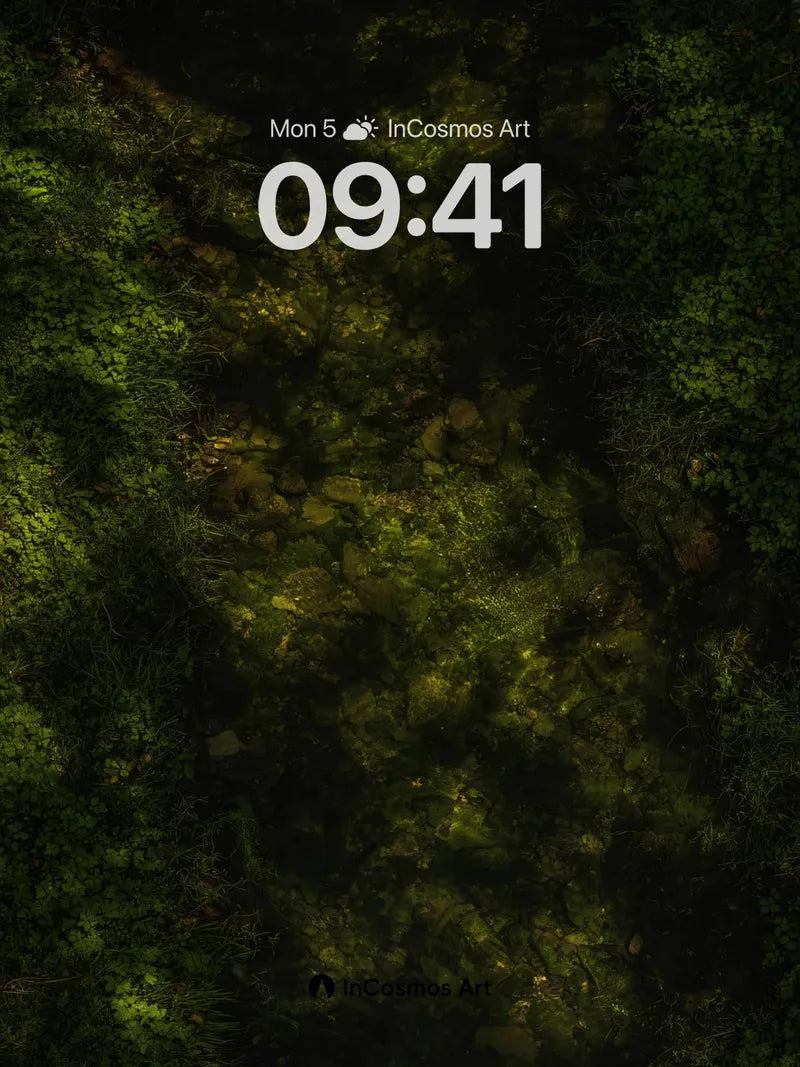 Shadowed Moss Path Wallpaper with Dappled Light