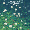 Clover Field White Flowers Wallpaper 4K for iPhone Lock Screen wallpaper for iPhone, iPad & Mac