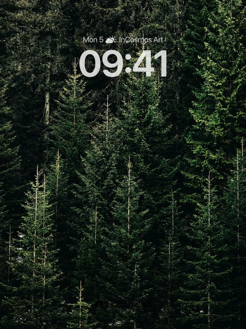 Shadowed Pine Forest Wallpaper with Whispering Needles