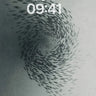 Whirlpool of Shadows Wallpaper wallpaper for iPhone, iPad & Mac