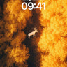 Golden Veil Wallpaper with Stag Silhouette wallpaper for iPhone, iPad & Mac