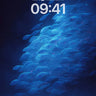 Midnight Schooling Wallpaper in Deep Blue wallpaper for iPhone, iPad & Mac
