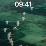 Serenity Flight Wallpaper with Emerald Depths wallpaper for iPhone, iPad & Mac