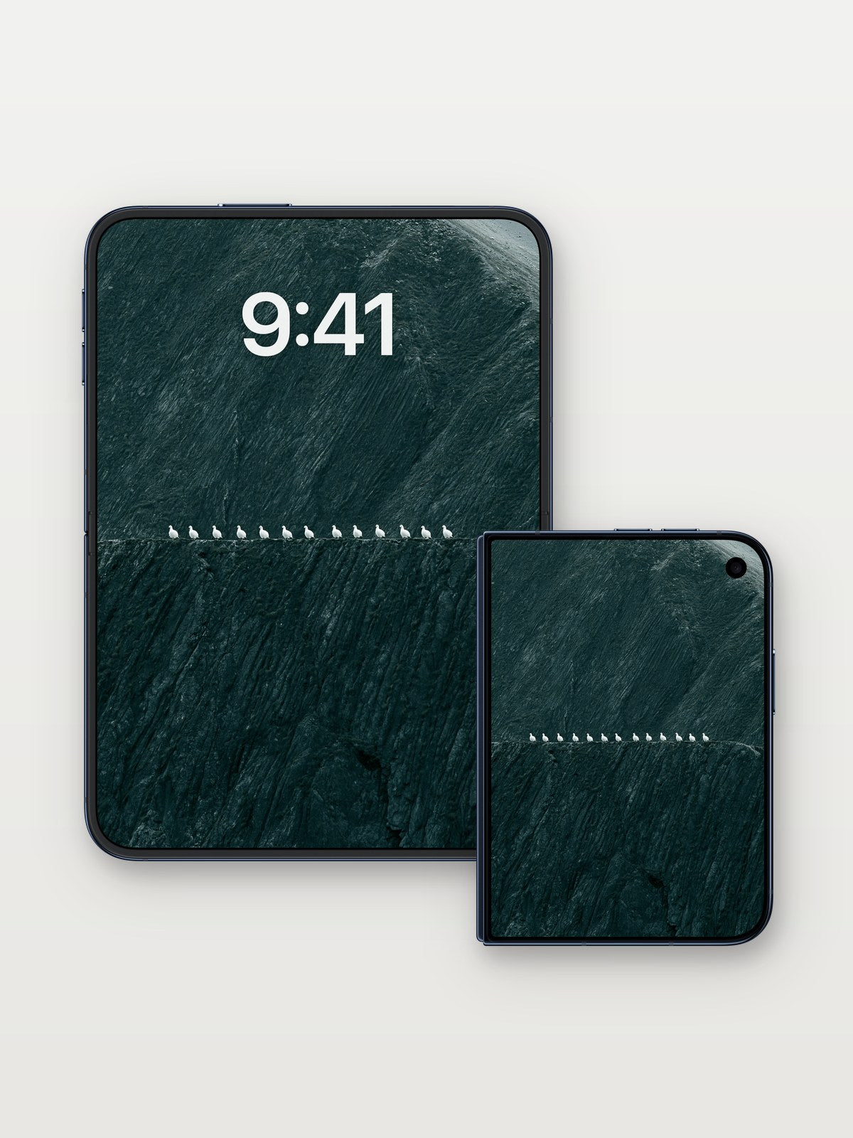 Minimalist Seabirds on Cliff Wallpaper on iPhone Duo, open and closed