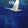 Serenity in Flight Wallpaper with Azure Depth wallpaper for iPhone, iPad & Mac