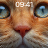 Golden Gaze Wallpaper with Whiskered Depth wallpaper for iPhone, iPad & Mac